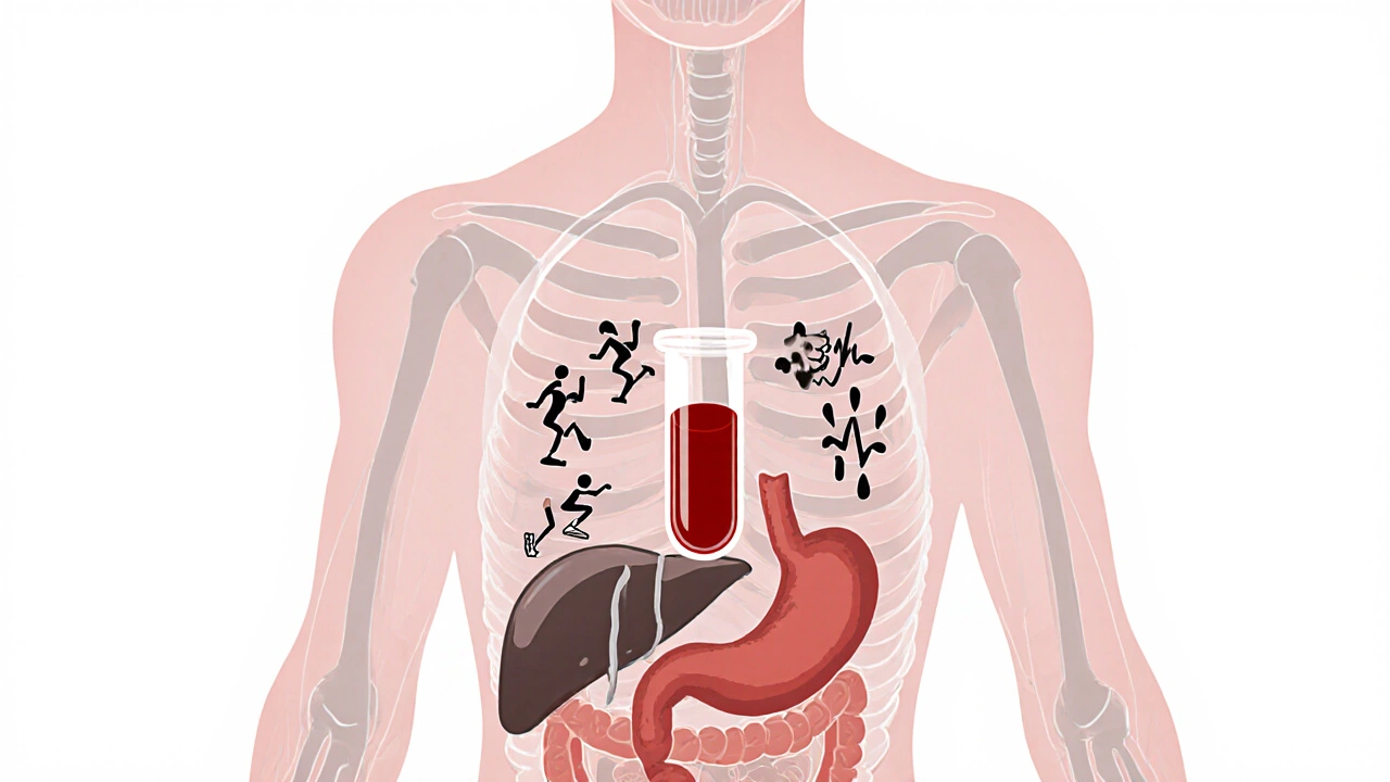 Прозрачное изображение тела с факторами, влияющими на результаты анализа крови.